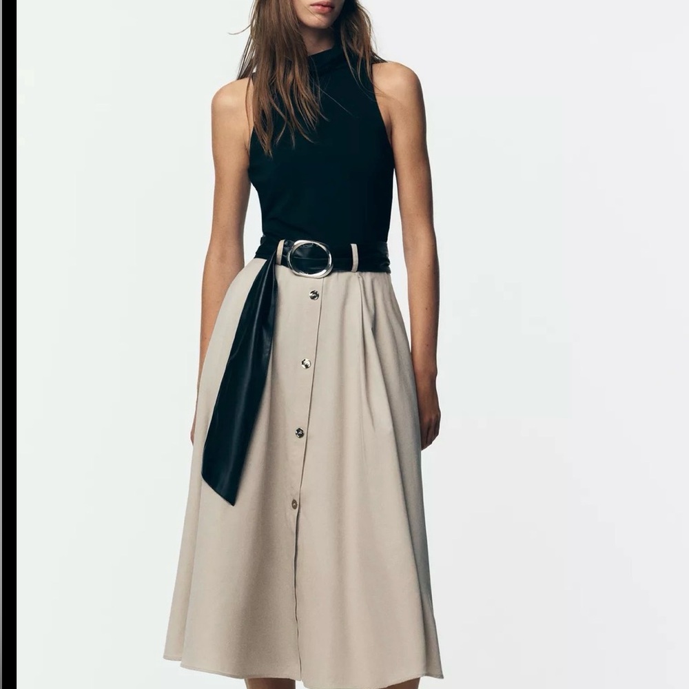 Zara Black and Beige A-Line Dress
